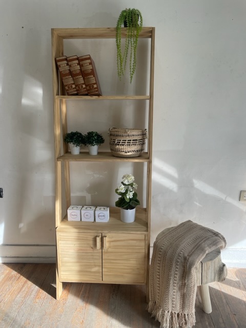 Biblioteca con puerta 